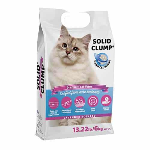 חול מתגבש לחתול סוליד קלאמפ בניחוח לבנדר