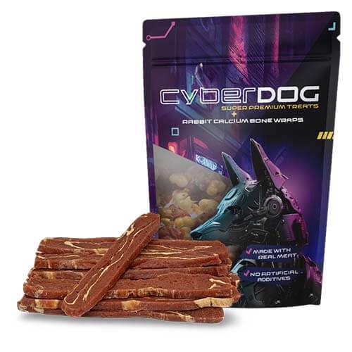 רצועות-ברווז