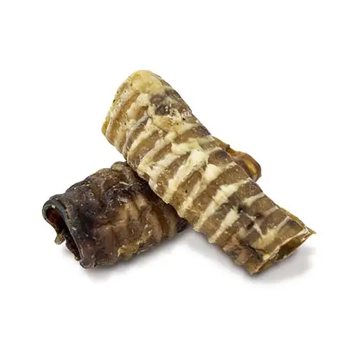 חטיף נטורל גרייטנס טבעי קנה בקר גדול לכלב