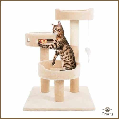 מתקן גירוד לחתולים 037