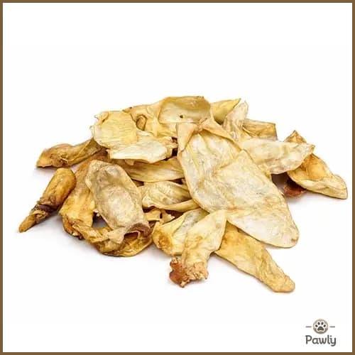 אוזן טלה טבעית סייבר דוג לכלב